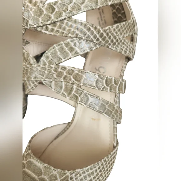 Rouge Helium Zip Up Gator Heels - Picture 9 of 16